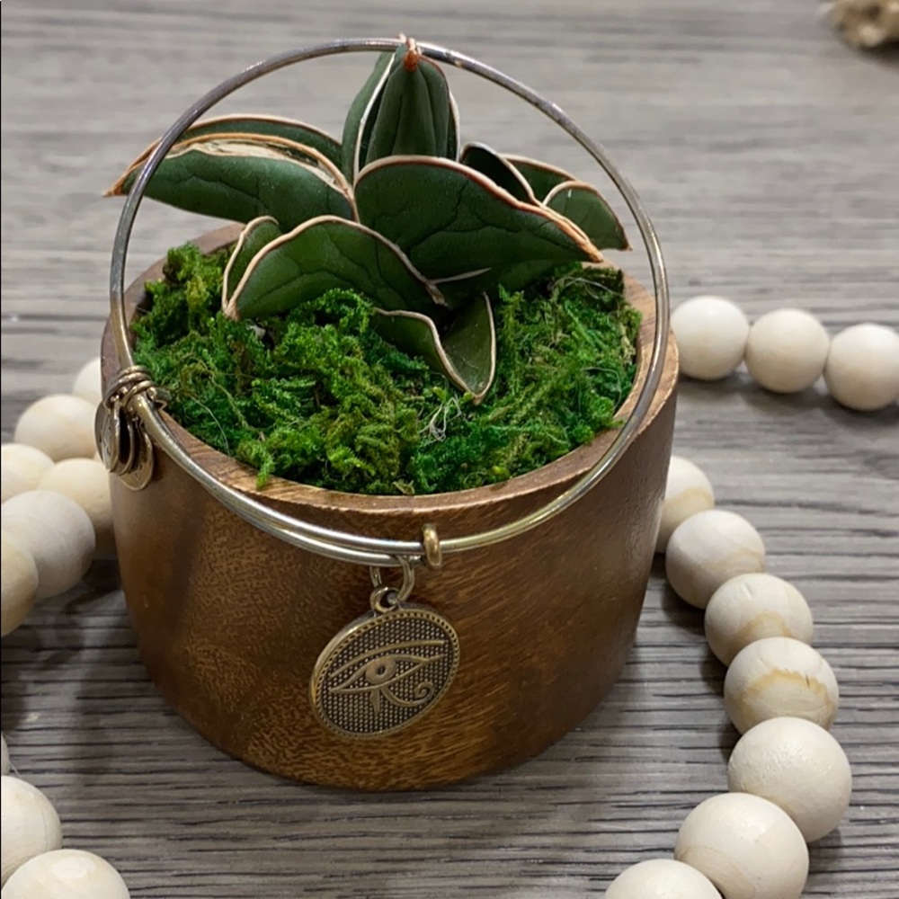 Alex and ani bracelet
